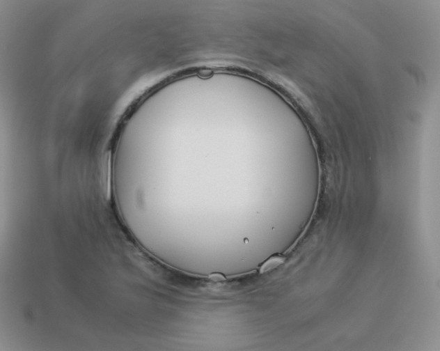 X0000113911175200910151411