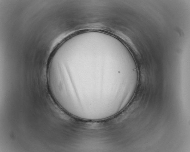 X0000113911176200910151411