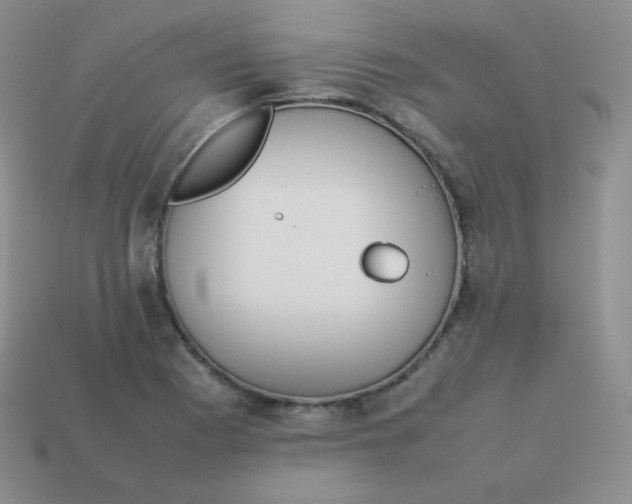 X0000113911177200910151411