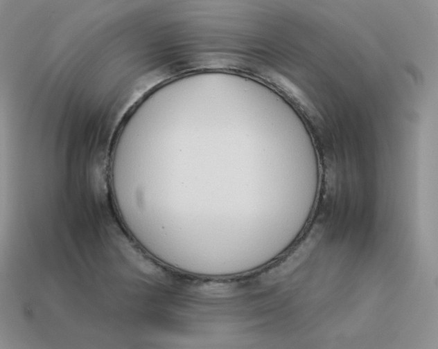 X0000113911178200910151411