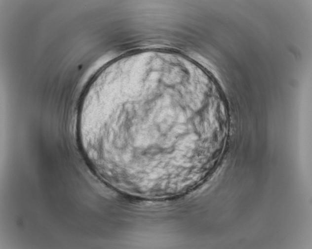 X0000113911179200910151411