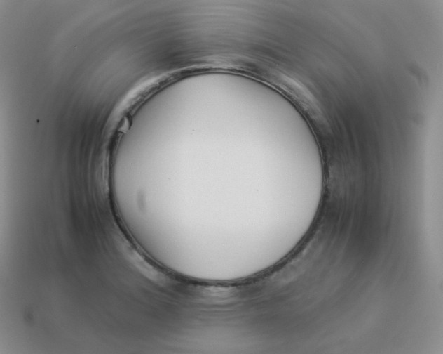 X0000113911180200910151411