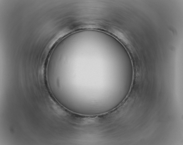 X0000113911181200910151411