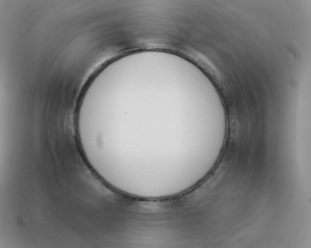 X0000113911182200910151411