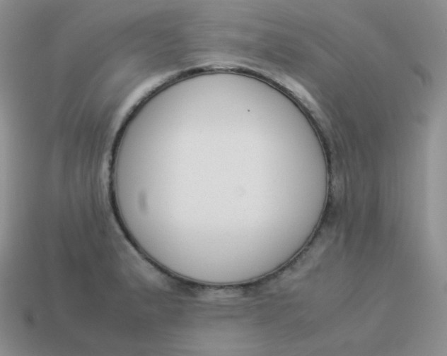 X0000113911183200910151411