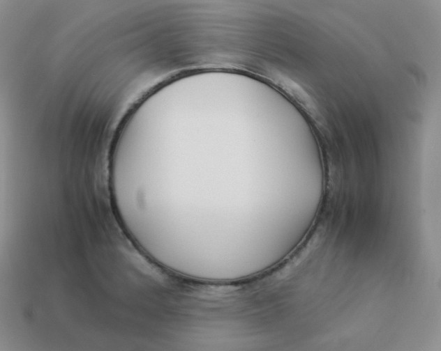 X0000113911184200910151411