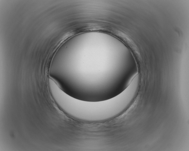 X0000113911185200910151411