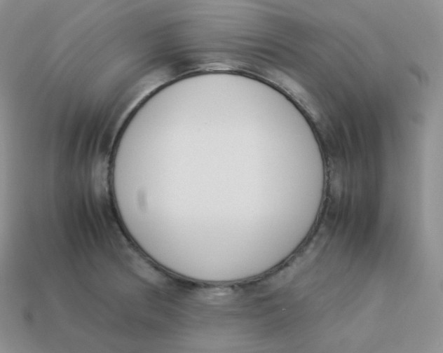 X0000113911186200910151411