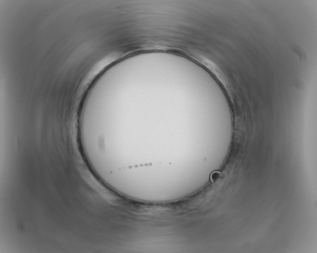 X0000113911187200910151411