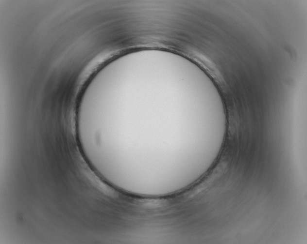 X0000113911188200910151411