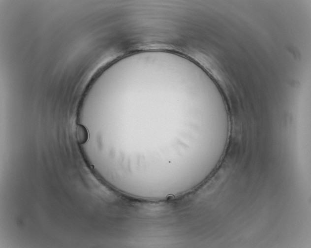 X0000113911189200910151411