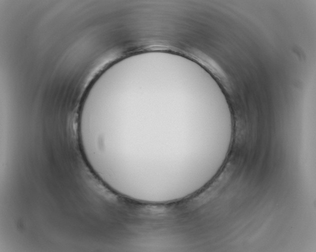 X0000113911190200910151411