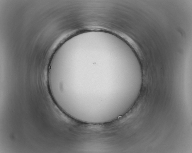 X0000113911191200910151411