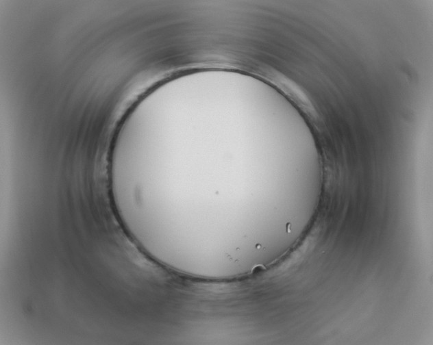 X0000113911192200910151411