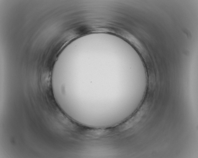 X0000113911193200910151411