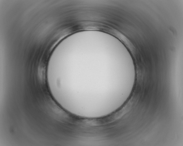 X0000113911194200910151411