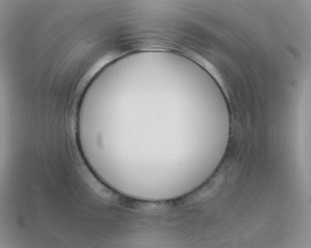 X0000113911195200910151411