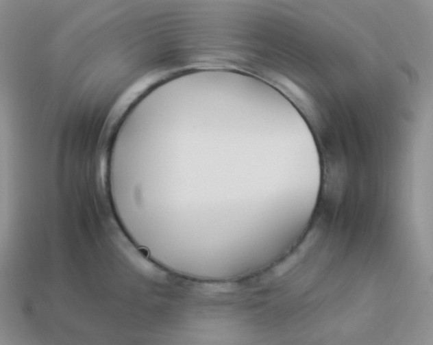 X0000113911196200910151411