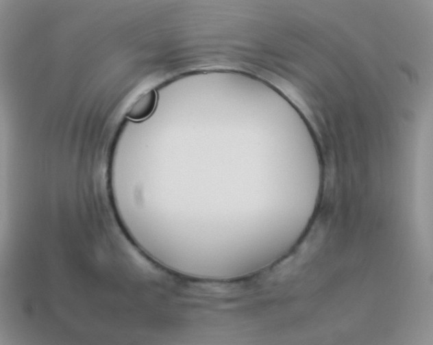 X0000113911197200910151411