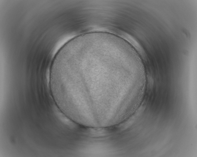 X0000113911198200910151411