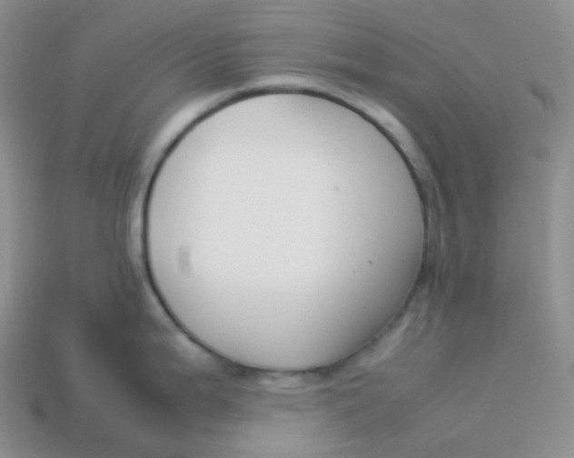 X0000113911199200910151411