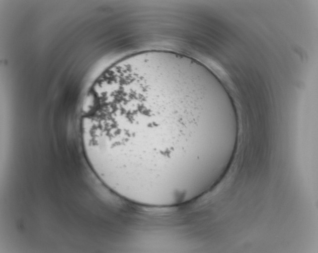 X0000113911200200910151411