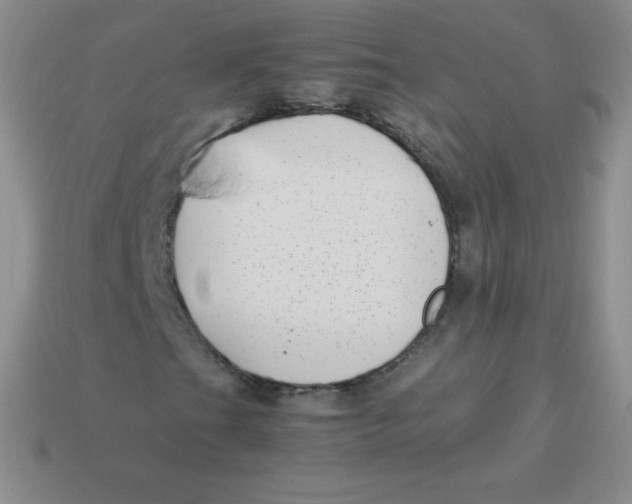 X0000113911201200910151410