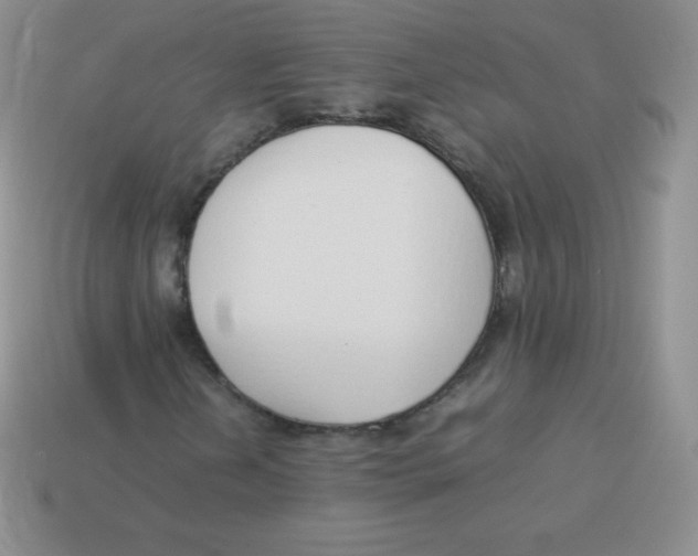 X0000113911202200910151410