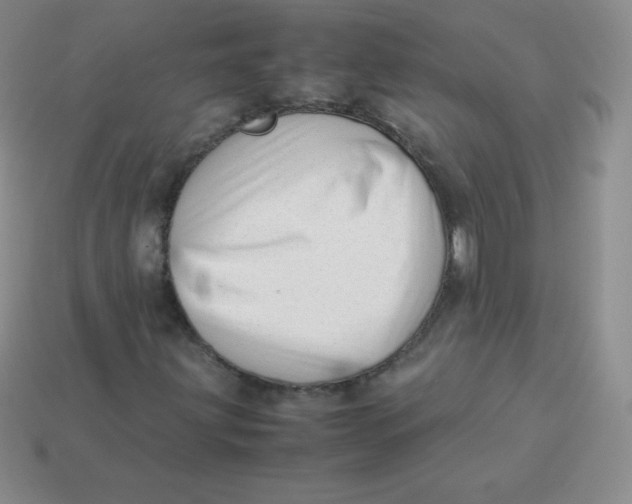 X0000113911203200910151410