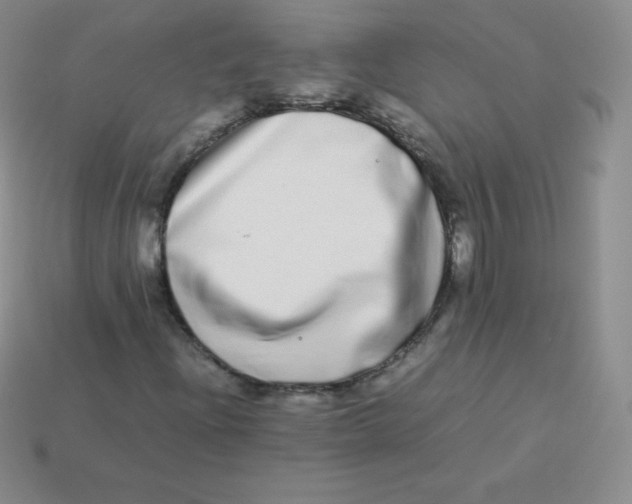 X0000113911204200910151410