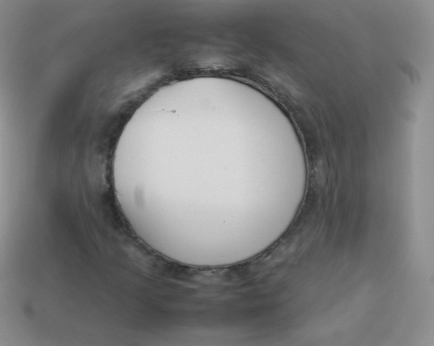 X0000113911205200910151410