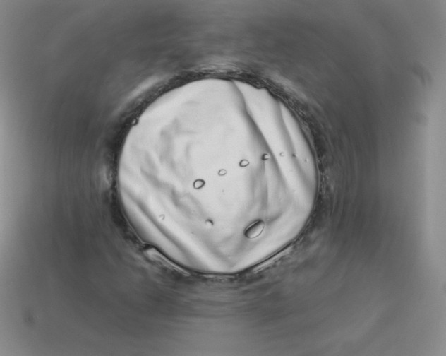 X0000113911206200910151410