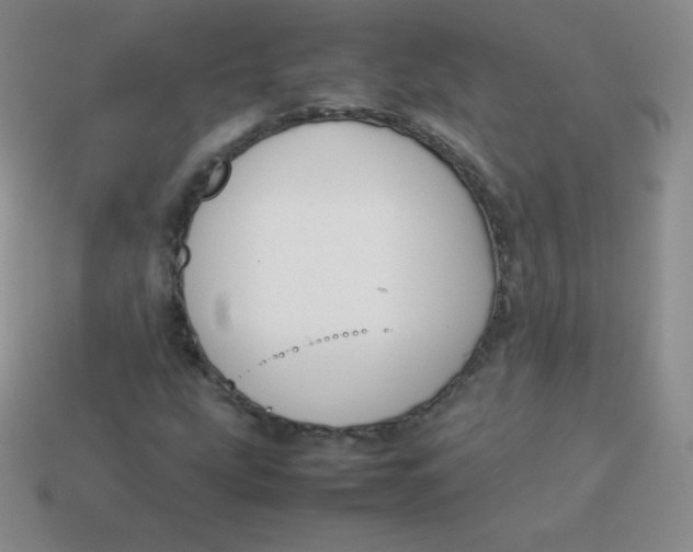 X0000113911207200910151410