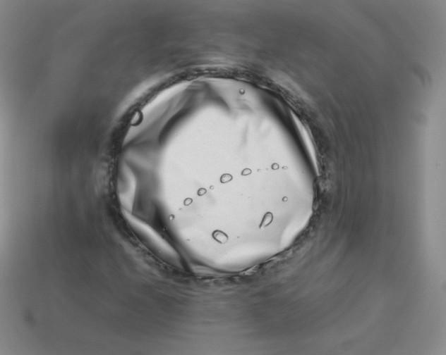 X0000113911208200910151410