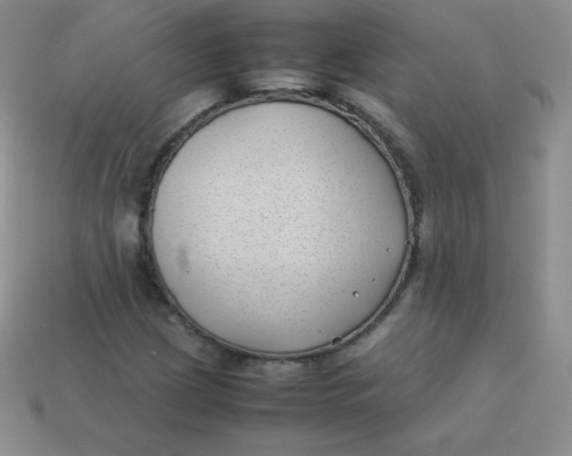 X0000113911209200910151410