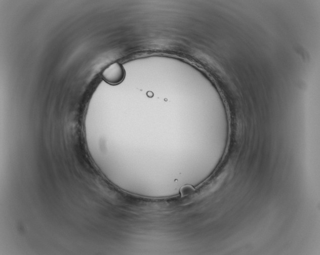 X0000113911210200910151410