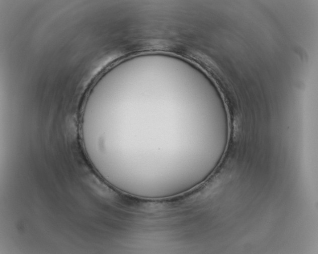 X0000113911212200910151410