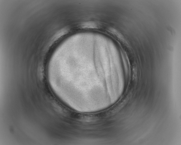 X0000113911213200910151410