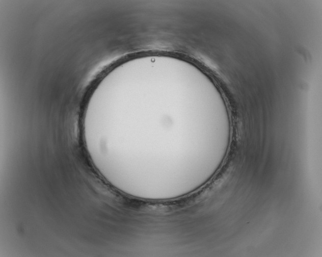 X0000113911214200910151410