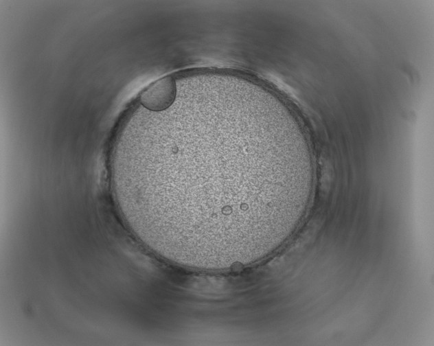 X0000113911215200910151411