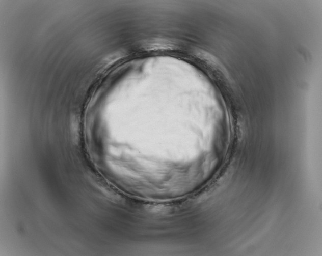 X0000113911217200910151411