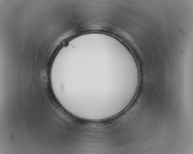 X0000113911218200910151411