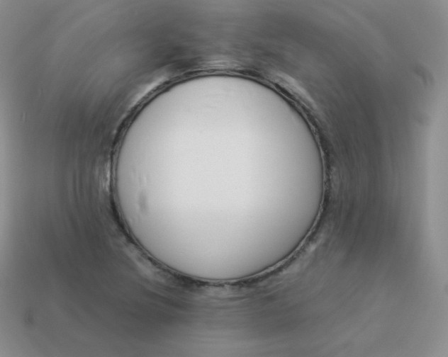 X0000113911220200910151411