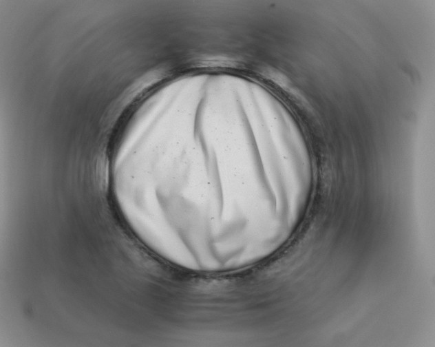 X0000113911221200910151411