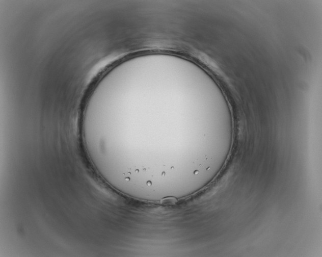 X0000113911222200910151411