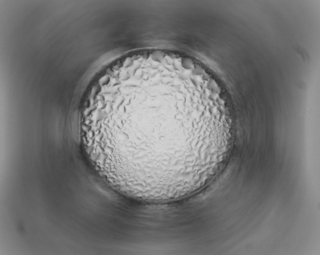 X0000113911223200910151411