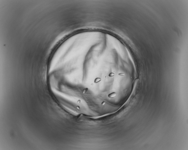 X0000113911224200910151411