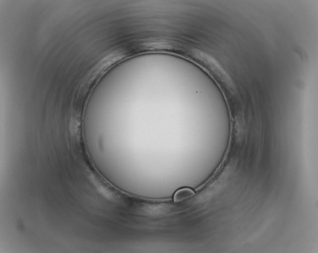 X0000113911225200910151411