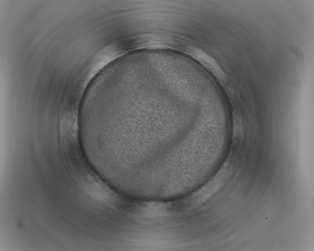 X0000113911226200910151411