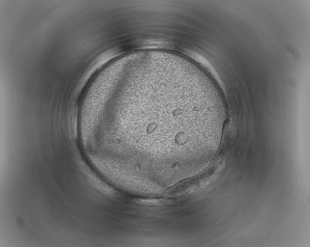 X0000113911227200910151411